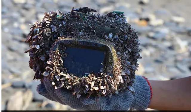 ସମୁଦ୍ରରେ ହଜି ଯାଇଥିବା କ୍ୟାମେରା ଦୁଇବର୍ଷ ପରେ ମିଳିଲା; ଅନ ହେବା ସହିତ ସେଥିରେ ଥିଲା ଫୁଲ ଚାର୍ଜ