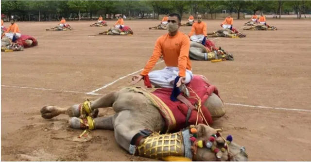 ଓଟ ପିଠିରେ ବସି ବିଏସଏଫ ଯବାନ ଯୋଗ କରିବା ଘଟଣାକୁ ନେଇ ସୋସିଆଲ ମିଡିଆ ବ୍ୟବହାରକାରୀଙ୍କ ତୀବ୍ର ପ୍ରତିକ୍ରିୟା