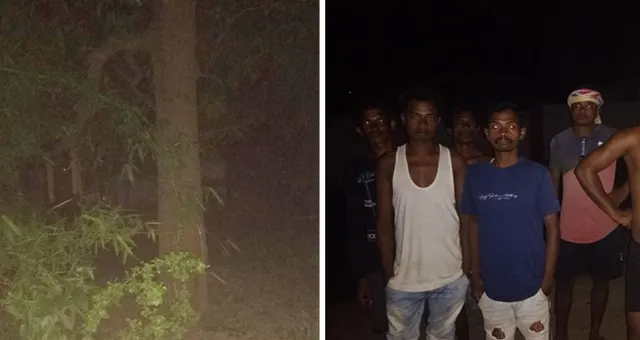 କୁକୁର ଭୟରେ ଗଛ ଉପରେ ଚଢ଼ି ରହିଛି ଭାଲୁ, ମଜା ନେଉଛନ୍ତି ଦେଖଣାହାରୀ ଜନତା