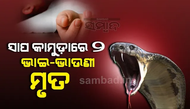 ବିଷାକ୍ତ ସାପ କାମୁଡ଼ାରେ ଗୋଟିଏ ରାତିରେ ଦୁଇ ଭଉଣୀଙ୍କ ମୃତ୍ୟୁ
