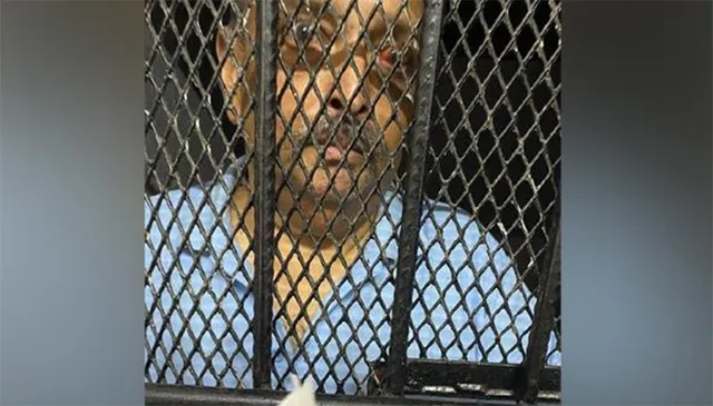 ଚୋକ୍‌ସିଙ୍କ ସତ୍ୟପାଠ: ଭାରତରୁ ଲୁଚି ପଳାଇନି, ମୋ ଅପହରଣରେ ଡୋମିନିକା ସରକାରଙ୍କ ହାତ ଅଛି