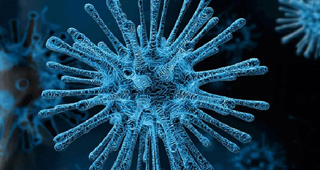 ଭୁବନେଶ୍ବରରେ ୨୮୬ ଆକ୍ରାନ୍ତ, ୨୫ ମୃତ ଘୋଷଣା