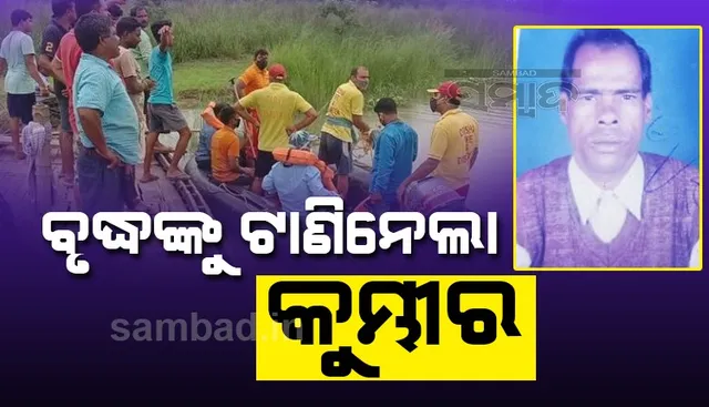 ବ୍ରାହ୍ମଣୀ ନଦୀରେ କୁମ୍ଭୀର ଉପଦ୍ରବ; ଗାଧୋଇବା ବେଳେ ବୃଦ୍ଧଙ୍କୁ ଝାମ୍ପି ନେଲା