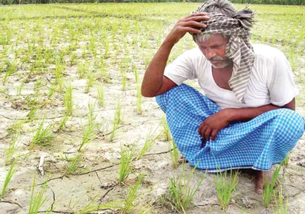 ପରିସଂଖ୍ୟାନ ଓ ଯୋଜନା କ୍ରିୟାନ୍ବୟନ ମନ୍ତ୍ରାଳୟ ରିପୋର୍ଟ: ଓଡ଼ିଶା ଚାଷୀଙ୍କ ମାସିକ ଆୟ ୫,୧୧୨ ଟଙ୍କା