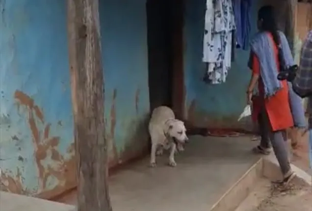 ବୃଦ୍ଧଙ୍କୁ ପିଟିପିଟ ମାରିବା ଘଟଣା: ହତ୍ୟାକାଣ୍ଡର ଖିଅ ଖୋଜୁଛି ପୁଲିସ୍ 