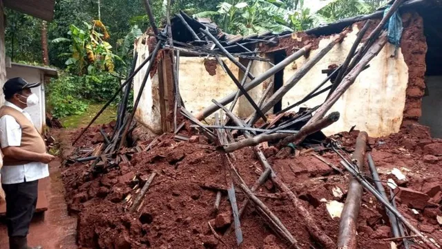 ନୀଳଗିରିରେ ବର୍ଷା ହେତୁ କାନ୍ଥ ପଡ଼ି ୨ ଗୋରୁ ମୃତ, ୪ ଗୁରୁତର