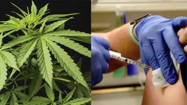 ‘ୱାସିଂଟନ୍‌ ଷ୍ଟେଟ୍‌’ରେ କୋଭିଡ୍‌-୧୯ ଟିକା ନେଉଥିବା ପ୍ରାପ୍ତ ବୟସ୍କଙ୍କୁ ମାଗଣାରେ ମିଳିବ ଗଞ୍ଜେଇ ସିଗାରେଟ୍‌