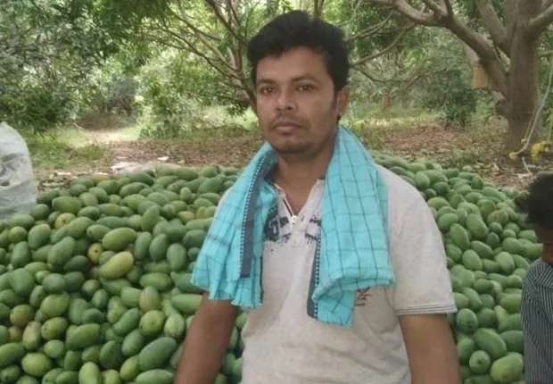 ଆମ୍ବ ଚାଷରୁ ଲକ୍ଷପତି