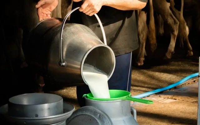 କ୍ଷୀର ଉତ୍ପାଦନରେ ସ୍ବାବଲମ୍ବୀ ହେଉଛି ଅନୁଗୁଳ: ଦିନକୁ ବିକ୍ରି ହେଉଛି ୩୦ହଜାର ଲିଟର କ୍ଷୀର