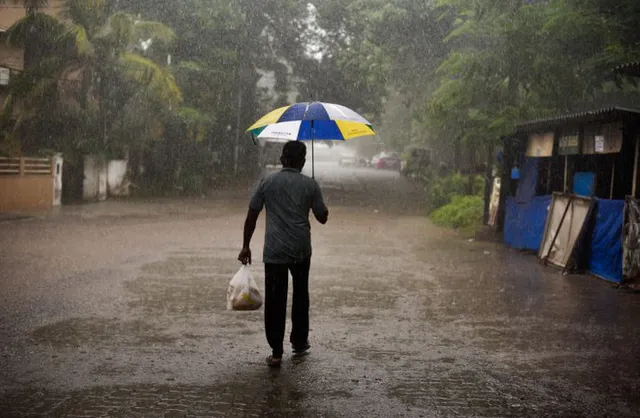 କେରଳ ଛୁଇଁଲା ମୌସୁମୀ