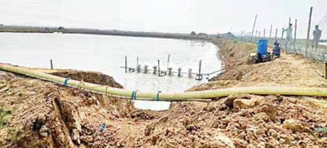 କେନ୍ଦ୍ରାପଡ଼ା ଜିଲ୍ଲାପାଳଙ୍କୁ ହାଇକୋର୍ଟଙ୍କ ନିର୍ଦ୍ଦେଶ: ବେଆଇନ ଚିଙ୍ଗୁଡ଼ିଘେରିର ହେବ ସାଟେଲାଇଟ୍‌ ସର୍ଭେ