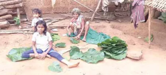 ଅବହେଳିତ ଆଦିବାସୀ ଗାଁ: ଏ ଯାଏ ଜଣେ ବି ୧୦ମ ଶ୍ରେଣୀ ପାସ୍‌ କରିନାହାନ୍ତି