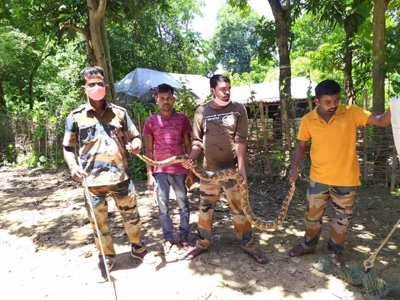 ଉଦ୍ଧାର ହେଲା ୮ଫୁଟିଆ ଅଜଗର