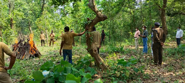ଦୁର୍ଘଟଣାରେ ମୃତ ବାଘର ଦାହ-ସତ୍କାର