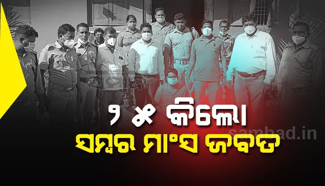 ସମ୍ବର ମାଂସ ବିକ୍ରି ପାଇଁ ପ୍ରସ୍ତୁତି ବେଳେ ବନ ବିଭାଗର ଅତର୍କିତ ଚଢାଉ, ଅଭିଯୁକ୍ତ ଗିରଫ