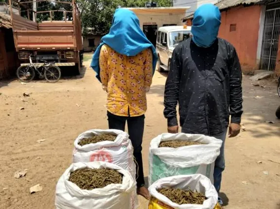 ୯୪ କେଜି ଗଞ୍ଜେଇ ଜବତ, ୨ ଗିରଫ