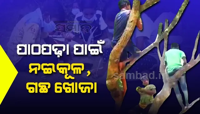 ସ୍ମାର୍ଟଫୋନ ଅଭାବ, ୟୁଟ୍ୟୁବ୍‌ ଲିଙ୍କ୍‌ କେ‌ମିତି ପାଇବେ ଛାତ୍ରଛାତ୍ରୀ?