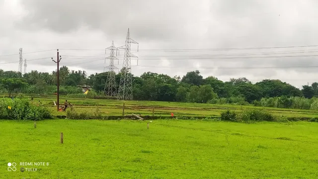 କେନ୍ଦ୍ରୀୟ ବିଦ୍ୟାଳୟ ସ୍ଥାପନ ପ୍ରସଙ୍ଗ: ଶିକ୍ଷାମନ୍ତ୍ରୀ ଧର୍ମେନ୍ଦ୍ରଙ୍କ ଦୃଷ୍ଟି ପଡ଼ିବ କି?