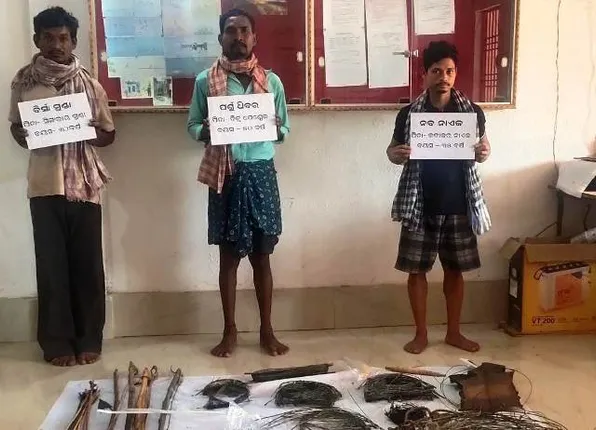 ରାନ୍ଧୁଥିଲେ ଭାଲୁ ମାଂସ; ବନ ବିଭାଗର ଚଢ଼ାଉ, ୩ ଫେରାର ଅଭିଯୁକ୍ତ ଗିରଫ