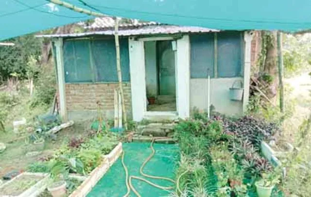 କୋଭିଡ୍‌ କଟକଣାର ସଦୁପଯୋଗ; ଫସଲରେ ହସୁଛି ରାଜେନ୍ଦ୍ରଙ୍କ ବଗିଚା