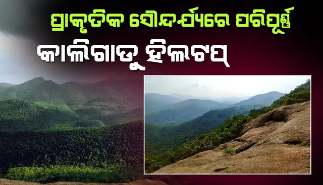 ଦୃଷ୍ଟି ଆଢୁଆଳରେ କାଲିଗାଡୁ ହିଲଟପ୍‌, ପର୍ଯ୍ୟଟକଙ୍କୁ ମୌଳିକ ସୁବିଧା ଯୋଗାଉଛନ୍ତି ଗ୍ରାମବାସୀ