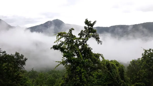 ମେଘର ପଣତରେ କଳିଙ୍ଗା ଘାଟି, ପର୍ଯ୍ୟଟକଙ୍କୁ କରୁଛି ଆକୃଷ୍ଟ 