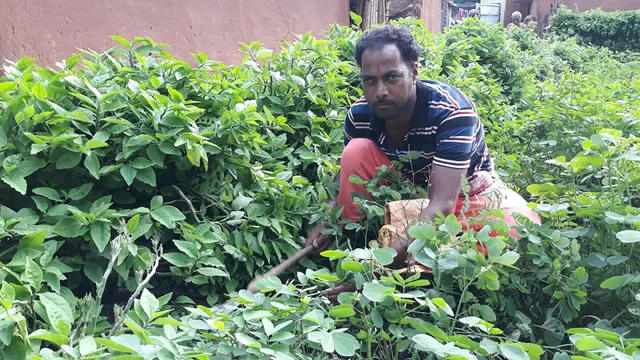 ଆଦିବାସୀଙ୍କ ସାହା ପାଲଟିଛନ୍ତି ରାମାଡ଼ିର ଦେଶୀ ବଇଦ ବିବତ୍ସ ନାଗ 