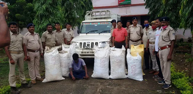 ବୋଲେରୋ ସହ ୨୫୮ କେଜି ଗଞ୍ଜେଇ ଜବତ, ଜଣେ ଗିରଫ 