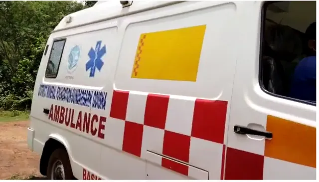 ଗାଁ କୁ ଆସିପାରିଲାନି ଆମ୍ବୁଲାନ୍ସ: ଚଉକିରେ ବୁହାହେଲେ ହାତୀ ଆକ୍ରମଣର ଶିକାର ଗୁରୁତର ମହିଳା