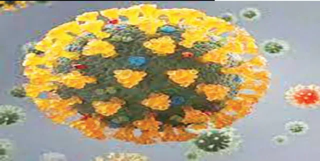 ମିଜୋରାମରେ ୭୫ ନମୁନାରେ ୩ ପ୍ରଜାତିର କରୋନାଭୂତାଣୁ