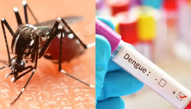 କଲବଲ କଲାଣି ଡେଙ୍ଗୁ: ୯ମାସରେ ସାଢ଼େ ୩ ହଜାର ଆକ୍ରାନ୍ତ