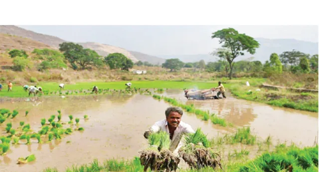 ସମବାୟ ସଚିବଙ୍କ ପତ୍ର: ୩୧ ଅଗଷ୍ଟ ସୁଦ୍ଧା ଚାଷୀଙ୍କୁ ବକେୟା ନଦେଲେ କାର୍ଯ୍ୟାନୁଷ୍ଠାନ
