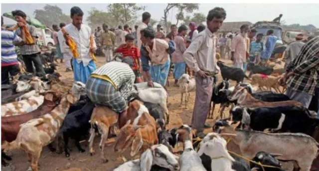 ବକ୍ରିଦ୍‌ ପାଇଁ କଟକଣା କୋହଳକୁ ଆଇଏମ୍‌ଏର ବିରୋଧ