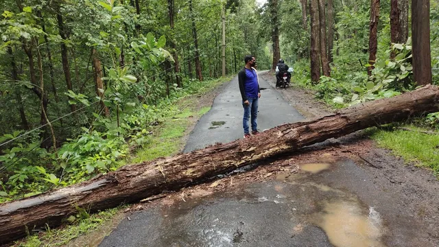 ମୂଷାନାଳ-ବିଜେପୁର ମୁଖ୍ୟ ରାସ୍ତାରେ ଗଛ ପଡ଼ି ଅବରୋଧ