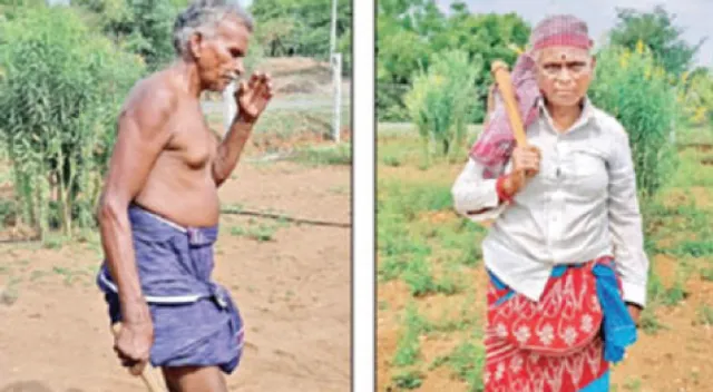 ବିଲରେ ଖଟୁଛନ୍ତି କେନ୍ଦ୍ରମନ୍ତ୍ରୀଙ୍କ ବାପାମା’