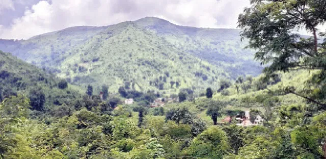 ଅଟକିଛି ନିୟମଗିରିରେ ଇକୋ କଟେଜ୍ ନିର୍ମାଣ, ୨୦୧୯ରୁ ପଡ଼ିଛି ୧ କୋଟି କେନ୍ଦ୍ରୀୟ ଅନୁଦାନ