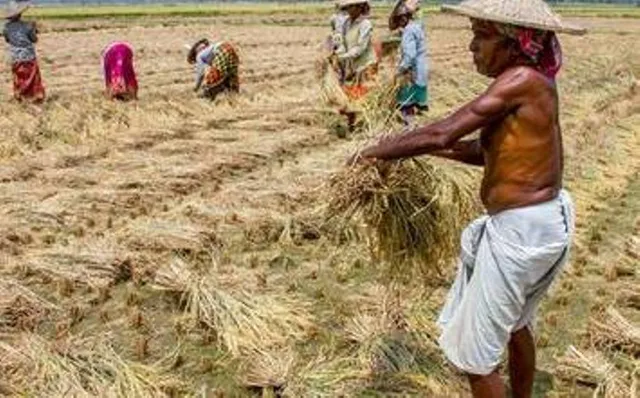 ଚାଉଳ ପରିବହନ ଭଡ଼ା ବୃଦ୍ଧି ଦାବି 