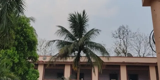 ଟେଣ୍ଡର ଏଡାଇବାକୁ ଭାଗ କରି ବାଣ୍ଟିଦେଲେ: ୧୦ ସ୍କୁଲର କାମକୁ ୫୦ ଠିକାଦାର !