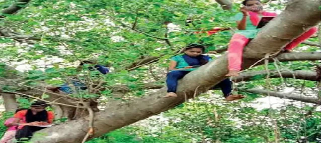 ତାମିଲନାଡ଼ୁରେ ଗଛ ଉପରେ ପାଠପଢ଼ା