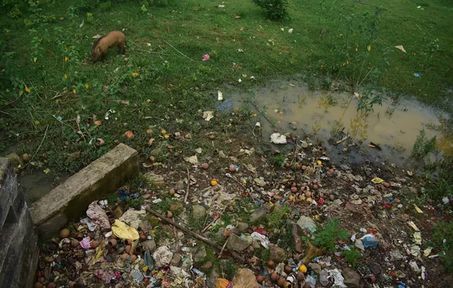 ଭରତପୁର ବନ୍ୟପ୍ରାଣୀଙ୍କୁ ବସ୍ତି ଆବର୍ଜନା ବିପଦ