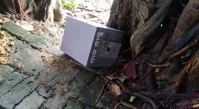 ଠାକୁରଙ୍କ ଟଙ୍କା ଓ ସୁନା ଗହଣା ଲୁଟି ନେଲେ ଦୁର୍ବୃତ୍ତ