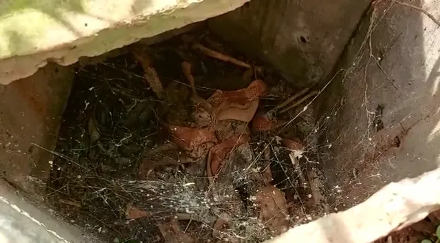 ଶୌଚାଳୟର ସେପ୍ଟିକ ଟାଙ୍କିରୁ ନରକଙ୍କାଳ ଉଦ୍ଧାର