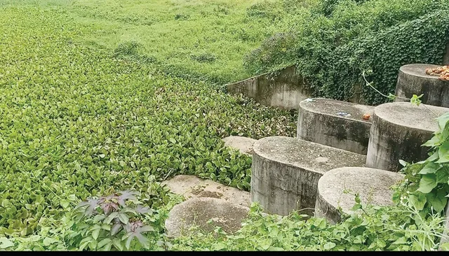 ୧୩.୬୩ କୋଟି ଟଙ୍କାରେ ମୁଗୁରାନାଳୀ ପାଇବ ଜୀବନ୍ୟାସ, ଉପକୃତ ହେବେ ମାଳମରିଚପୁର ବାସୀ