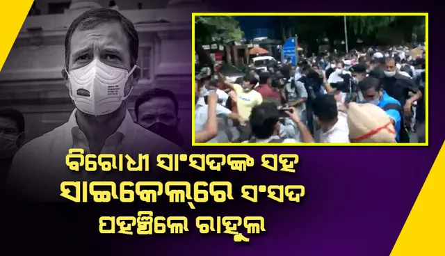 ତୈଳ ଦଳ ବୃଦ୍ଧିକୁ ନେଇ ସାଇକେଲ ରାଲି କରି ବିରୋଧୀ ସାଂସଦଙ୍କ ସହ ସଂସଦରେ ପହଞ୍ଚିଲେ କଂଗ୍ରେସ ନେତା ରାହୁଲ ଗାନ୍ଧୀ