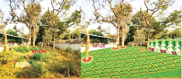 ଏକାମ୍ର ବନ ଡିଜାଇନ୍‌ରେ ହେବ ହର୍ବାଲ ଗାର୍ଡେନ୍‌: ସରକାରୀ ଆୟୁର୍ବେଦିକ ଓ ଡ.ଅଭିନ୍ନ ଚନ୍ଦ୍ର ହୋମିଓପାଥି କଲେଜର ବଦଳିବ ଚେହେରା