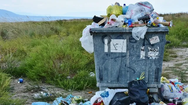 ବେଆଇନ ଭାବେ ଭାରତ ଓ ଇଣ୍ଡୋନେସିଆକୁ ଗୃହ ଆବର୍ଜନା ରପ୍ତାନି କରୁଥିବା ଇଂଲଣ୍ଡ୍‌ର କମ୍ପାନି ‘ବିଫା’ ଉପରେ ୧୫ କୋଟି ଟଙ୍କା ଜରିମାନା