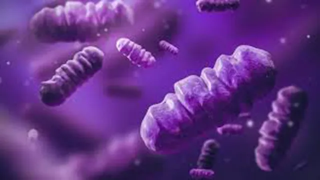 ଖୋଲା ଝରକା: ନାଳ ପାଣିରୁ ଇନ୍ଧନ ଉତ୍ପନ୍ନ କରିବ ବ୍ୟାକ୍ଟେରିଆ