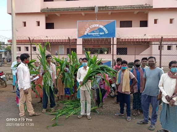 ଦୀର୍ଘ ଦିନର ଜମି ବିବାଦ ନେଲା ଉଗ୍ର ରୂପ : ଗୋଟିଏ ଗ୍ରାମର ଲୋକ ନଷ୍ଟ କରିଦେଲେ ଅନ୍ୟ ଗାଁର ମକା ଫସଲ