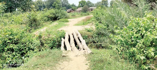 ନିର୍ମାଣ ହୋଇ ପାରୁନି ରାସ୍ତା, ଯାତାୟାତ ପାଇଁ ସାହାରା ସାଜିଛି କାଠପୋଲ