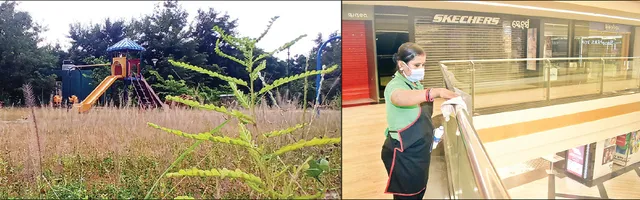 ଖୋଲିଲା ପାର୍କ ଓ ମଲ୍‌: ୫ରୁ ଖୋଲିବ ସିନେମା ହଲ୍‌, ଦ୍ବନ୍ଦ୍ବରେ ପ୍ରେକ୍ଷାଳୟ